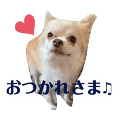 erin_20210305232920