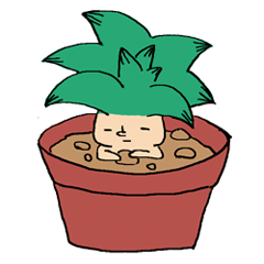 tani-kun of succulent plant
