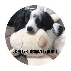 chihiro_20210306083220