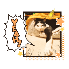 chie_20210305182140