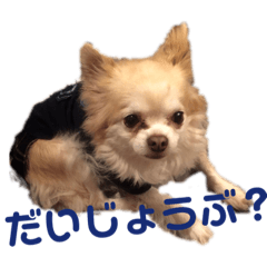 erin_20210306100625