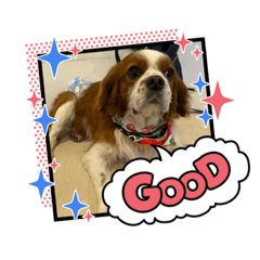 satoshi_20210305204002