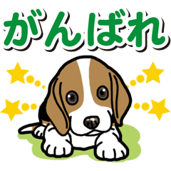 Wanko-Biyori Beagle Puppy