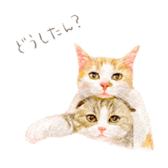 WORLD1 cat sticker 2021