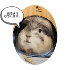 Natsumi_20210306091015