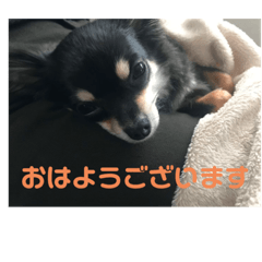 yuka_20210306090232