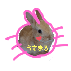 c_20210306122841