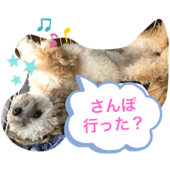 ayumi_20210306125530