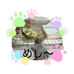 mizuki_20210306150238