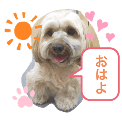 ayumi_20210306145056