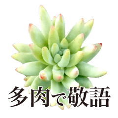 Succulents Photo Sticker