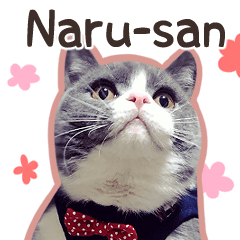 naru-san