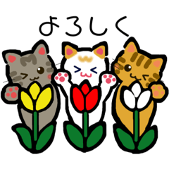 Spring of the three cat brothers
