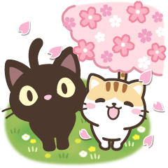 black cat and calico cat[spring]