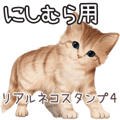 Nishimura Real pretty cats 4