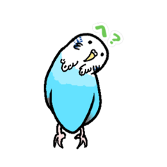 セキセイインコのランラン