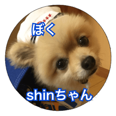 daily conversation of shin-chan 6