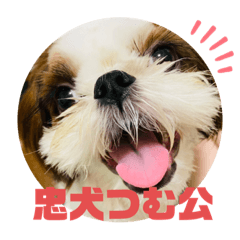 correct sum_20210306205357