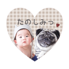 SHUN__coton sticker