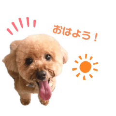 ann_20210307013932