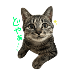 yun_20210306225954