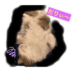 MATSU_20210307040338