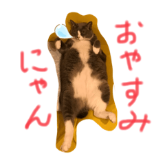 Sayuri_20210307030020