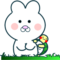 Rabbit Uoo(with a turtle)
