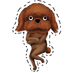 A mad toy poodle (Brown)