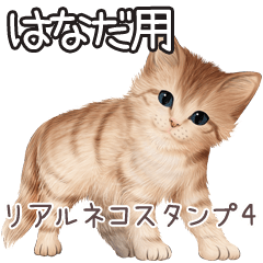 Hanada Real pretty cats 4 – LINE貼圖 | LINE STORE
