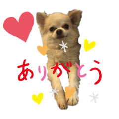 cococute0226