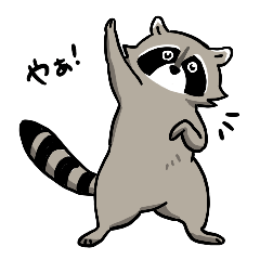 Friendly raccoon sticker (Japanese)