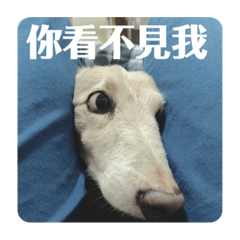 得祝的換罐罐日常4