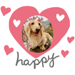 烏龜小可愛(*^o^*)