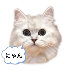 chie_20210306214353