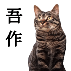 Ex-stray cat Gosaku Sticker