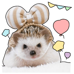 Hedgehog's ellie&cheri