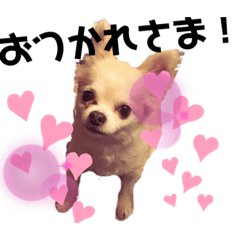 coco0226vol.2