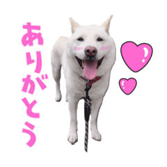 aoi_20210307145103