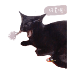 療癒黑貓