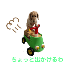 Chihiro_20210307155458