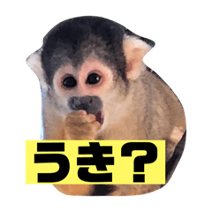 hana_20210307170024