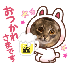 NANAMI_20210307214918