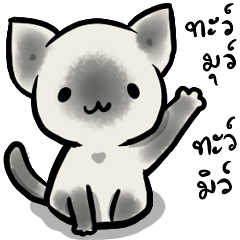 Siamese Kitten Cat Tamutami TH.