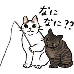 地方貓咪觀察學院 日文版
