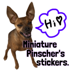 Miniature Pinscher's stickers.4