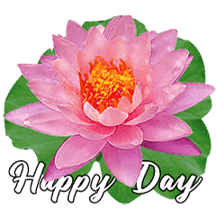 Flowers Blooming