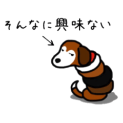 minomushi_beagle