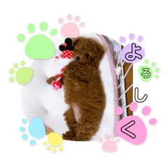 ayumi_20210308154057