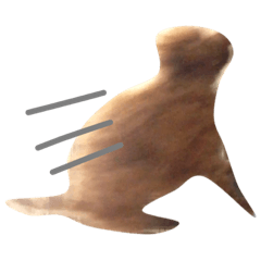 moccomoco2